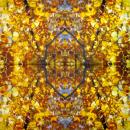 001 Pflanzen - 3 lagig - Molca